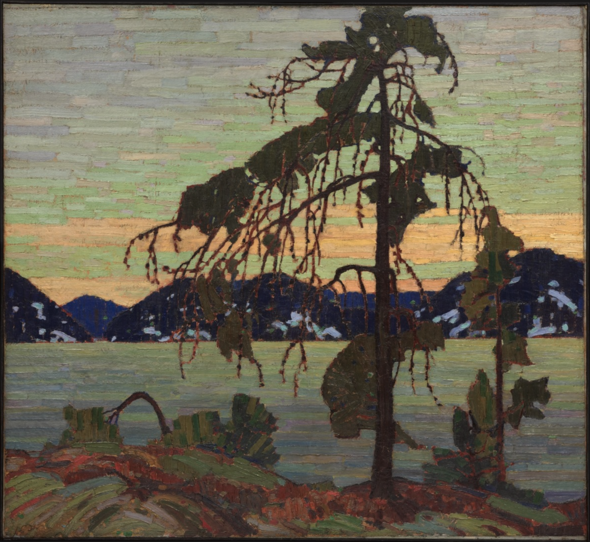 "The Jack Pine" by Tom Thomson